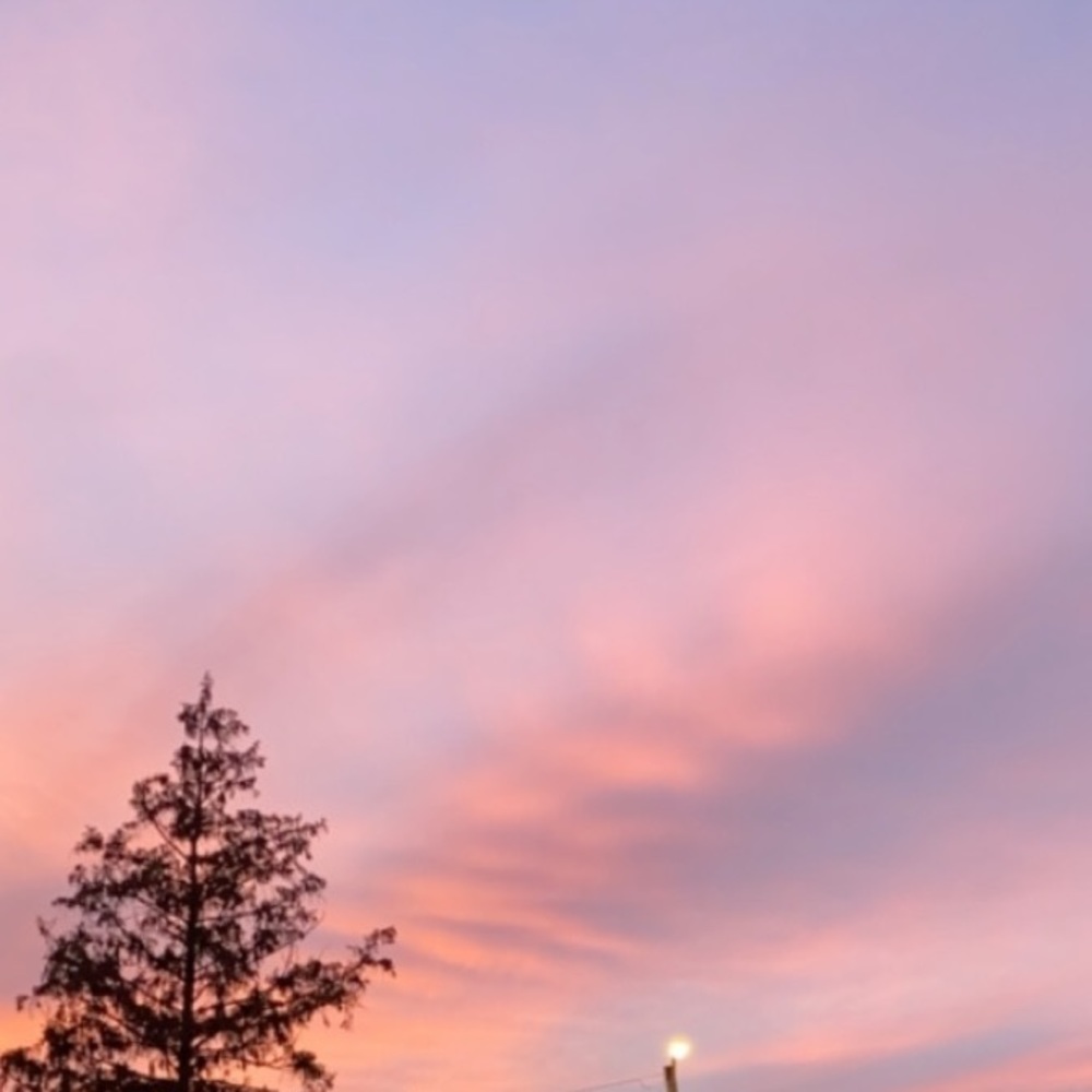 Meet your Posher, Vaishu